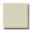 Armstrong Armstrong Arayan 13 X 13 Natural Tile  &  Stone