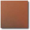 Daltile Daltile Quarry Tile 4 X 8 Blaze Flash Tile  &  Stone