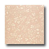 Tarkett Tarkett Personal Expressions - Victorias Garden Vintage Pink Vin