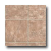Tarkett Tarkett Personal Expressions - Regent Toasted Coconut Vinyl Floo