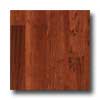 Pergo Pergo Everyday Dark Cherry Laminate Flooring