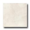 American Olean American Olean Park Avenue 18 X 18 Metropolitan White Tile  &  Sto