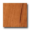Hartco Hartco The Valenza Collection - Engineered Tigerwood Hardwood Fl