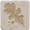 Tesoro Tesoro Fossil Listello Leaf C Tile  &  Stone