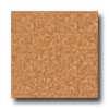 Congoleum Congoleum Pacesetter - Mirage 6 Earthen Russet Vinyl Flooring