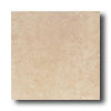 Daltile Daltile Calabria 12 X 12 Amaretto Tile  &  Stone