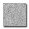 Mannington Mannington Biospec Techno Gray Vinyl Flooring