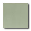 Daltile Daltile Designer Colours 12 X 12 Sage Green Tile  &  Stone