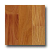 Stepco Stepco Exotics Solid Unfinished 4 Amendoim Hardwood Flooring