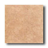 Daltile Daltile Catania 18 X 18 Ciccolato Tile  &  Stone