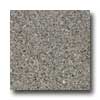 Santa Regina Santa Regina Designer 16 X 16 (polished) Cherries Jubilee Terraz