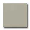 Daltile Daltile Modern Dimensions 4 1 / 4 X 8 1 / 2 Architectural Gray Tile