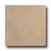 Crossville Crossville Buenos Aires Mood 12 X 12 Unpolished Pampa Tile  &  Sto