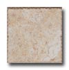 Cerdomus Cerdomus Angkor 6.5 X 6.5 Deserto Tile  &  Stone