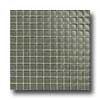 Daltile Daltile Maracas Glass Mosaics - Frosted Oak Moss Tile  &  Stone