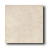 New World New World Chicago 8 X 10 Off White Tile  &  Stone