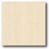 Congoleum Congoleum Forum Plank - Glenwood Bleached White Vinyl Flooring