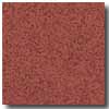 Armstrong Armstrong Safeguard Slip-retardant Brick Vinyl Flooring