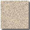 Armstrong Armstrong Safeguard Slip-retardant Beige Vinyl Flooring