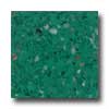 Santa Regina Santa Regina Accent 16 X 16 (antique) Emerald Terrazzo Tile