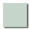 American Olean American Olean Satinglo Mosaic Light Aspen Tile  &  Stone