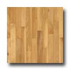Robbins Robbins Urban Exotics Collection Plank Birch 3 1 / 4 Natural Hardw