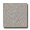 Santa Regina Santa Regina Architectural 24 X 24 (natural) Taupe Terrazzo Tile