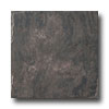 Emser Tile Emser Tile Natural 18 X 18 Steel Tile  &  Stone
