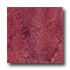 Forbo Forbo Marmoleum Click Plank Indian Summer Vinyl Flooring