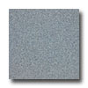 Armstrong Armstrong Medintech Tandem Inlaid Delphinium Vinyl Flooring