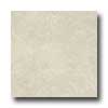 Armstrong Armstrong Colestone 16 X 16 Colestone White Tile  &  Stone