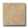 Emser Tile Emser Tile Paradiso 16 X 16 Tan Tile  &  Stone