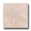 Nafco Nafco Aged Marble 12 X 12 Smoked Pearl Vinyl Flooring