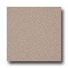 Armstrong Armstrong Medintech Homogeneous Pumice Stone Vinyl Flooring