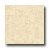 Congoleum Congoleum Xclusive - Amazon Slate Multi Almond Bisque Vinyl Floo
