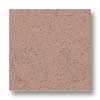 Alfagres Alfagres Quarry Abrasive 6 X 6 Spanish Red Tile  &  Stone