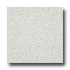 Armstrong Armstrong Medintech Tandem Inlaid Dahlia Sky Vinyl Flooring