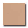 Marazzi Marazzi Le Cromie Polished 12 X 12 Corniola Tile  &  Stone