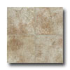 Tarkett Tarkett Preference Plus Nt - Bayhill 12 Butternut Birch Vinyl Fl