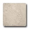 Interceramic Interceramic Scabas 6 X 6 Crema Tile  &  Stone