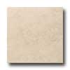 Del Conca Del Conca Hbt 18 X 18 Beige 1 Tile  &  Stone