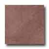 Tesoro Tesoro Zendo 6.5 X 6.5 Brown Tile  &  Stone
