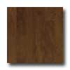 Harris-Tarkett Harris-tarkett Artisan Rustic Pecan Dark Mustang Hardwood Floori