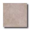 Villa Real Villa Real Mustique 18 X 18 Taupe Tile  &  Stone