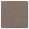 Daltile Daltile Vitrestone Select 8 X 8 Eggplant Tile  &  Stone