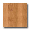 Harris-Tarkett Harris-tarkett Artisan Hand Scraped Hickory Burnt Umber Hardwood