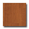 Armstrong Armstrong Timberline Medium Cherry Vinyl Flooring