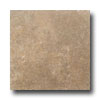 American Olean American Olean Carriage House 8 X 10 Buckskin Tile  &  Stone