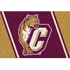 Milliken Milliken College Of Charleston 5 X 8 College Of Charleston Area