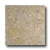 Alfagres Alfagres Tumbled Marble 12 X 12 Polished Cafe Pinto Tile  &  Stone
